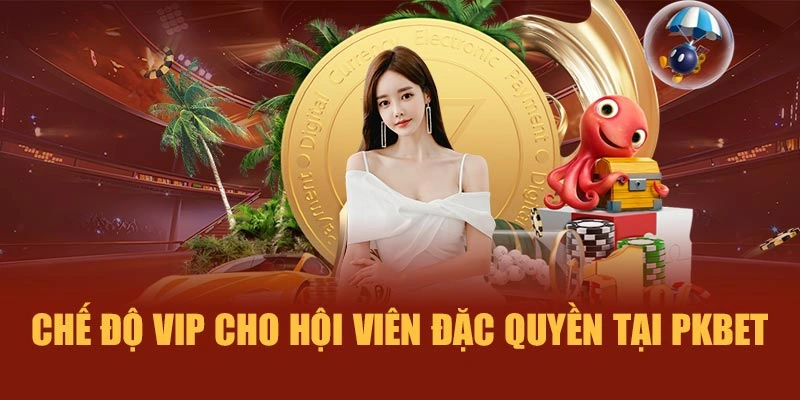 chế độ VIP cho hội viên đặc quyền tại PKBET