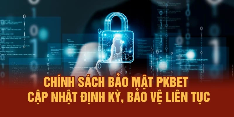 Chính sách bảo mật PKBET – Cập nhật định kỳ, bảo vệ liên tục