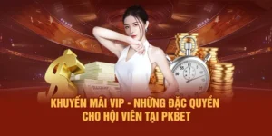 Khuyến Mãi VIP - Những Đặc Quyền Cho Hội Viên Tại PKBET