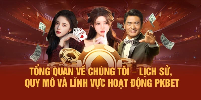 Tổng quan về chúng tôi – lịch sử, quy mô và lĩnh vực hoạt động PKBET