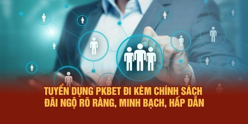 Tuyển dụng PKBET đi kèm chính sách đãi ngộ rõ ràng, minh bạch, hấp dẫn